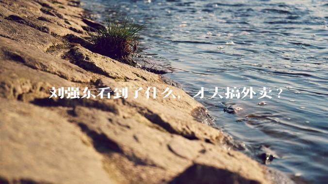 刘强东看到了什么，才去搞外卖?