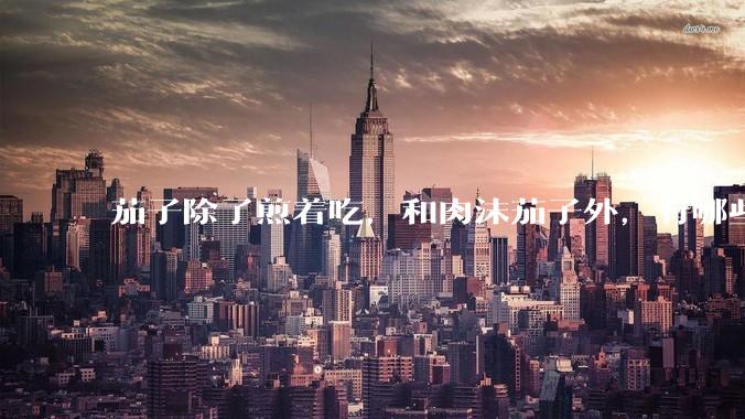 茄子除了煎着吃，和肉沫茄子外，有哪些吃法？