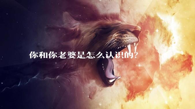 你和你老婆是怎么认识的？