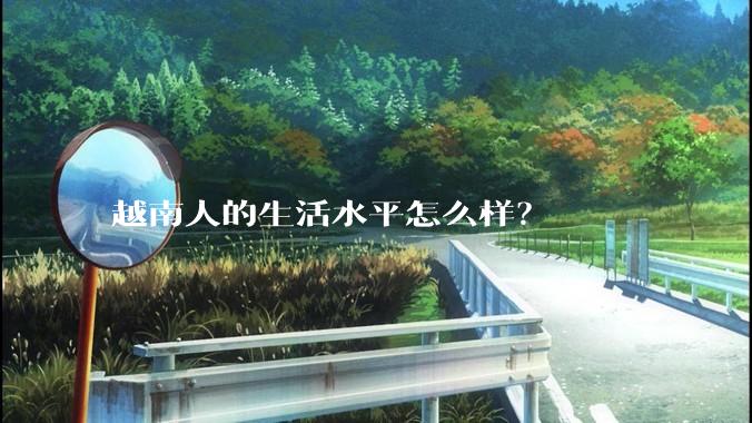 越南人的生活水平怎么样？
