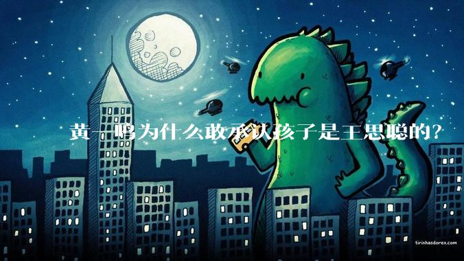黄一鸣为什么敢承认孩子是王思聪的？