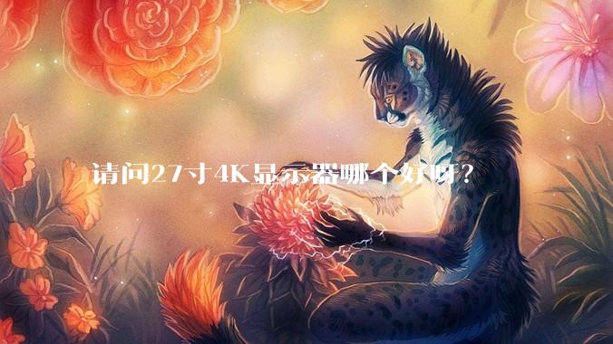 请问27寸4K显示器哪个好呀？